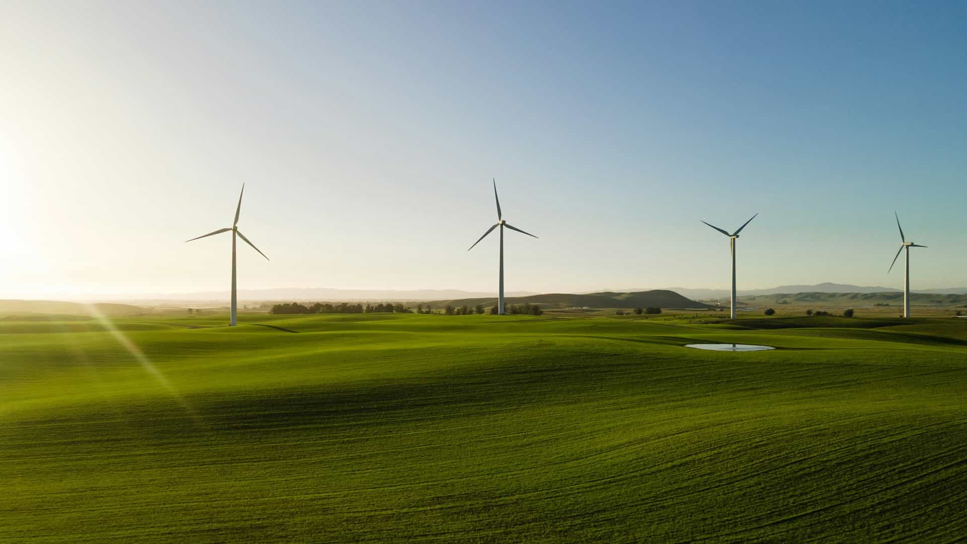 How Wind Energy Powers Homes and Reduces Carbon Emissions